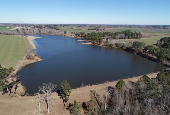 photo of listed property