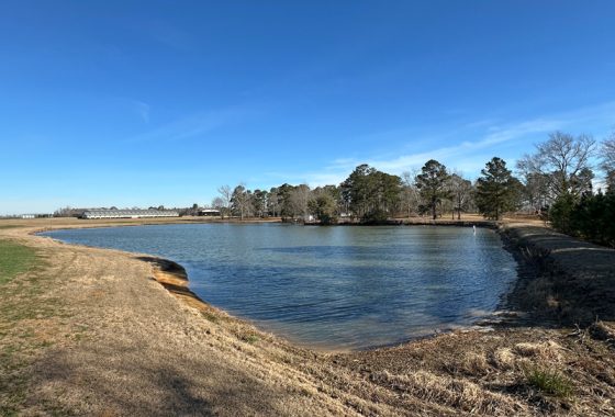 photo of listed property