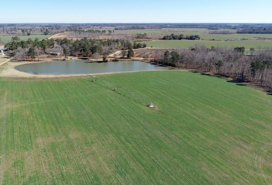 photo of listed property