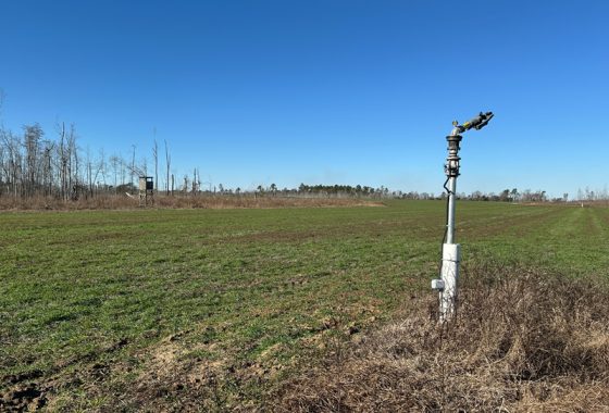 photo of listed property