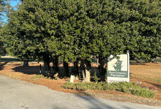 photo of listed property