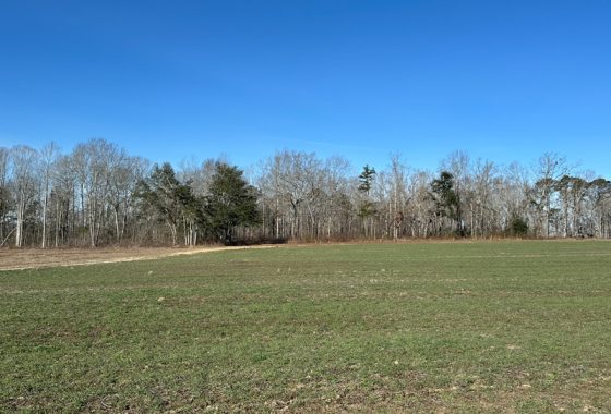 photo of listed property