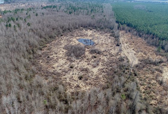 photo of listed property