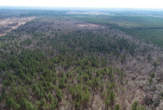 photo of listed property