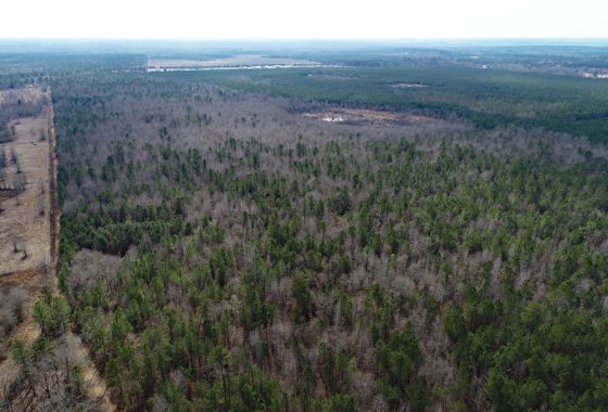 photo of listed property