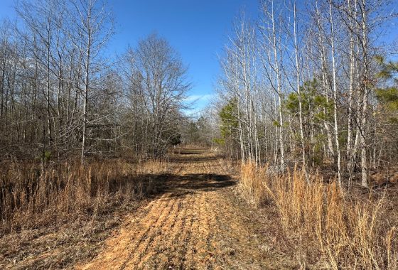 photo of listed property