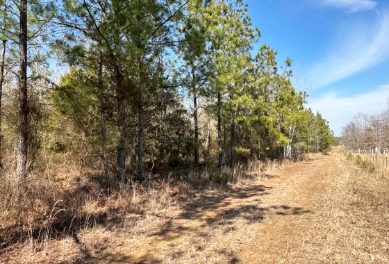 photo of listed property