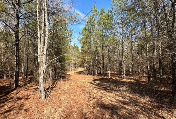 photo of listed property