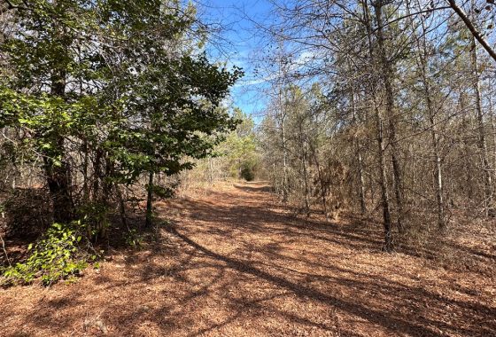 photo of listed property