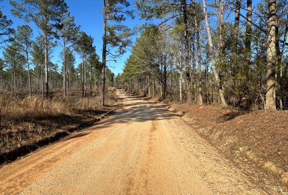 photo of listed property