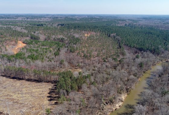 photo of listed property