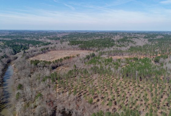 photo of listed property