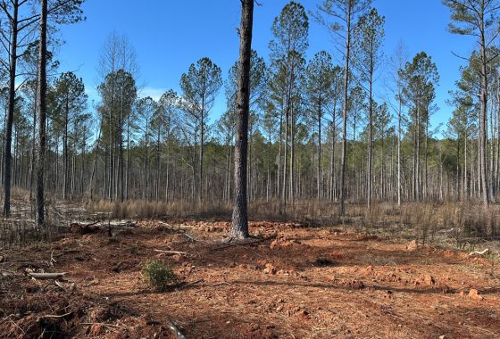 photo of listed property