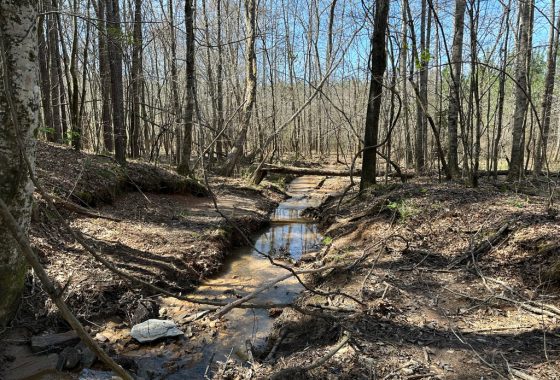 photo of listed property