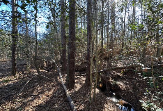 photo of listed property