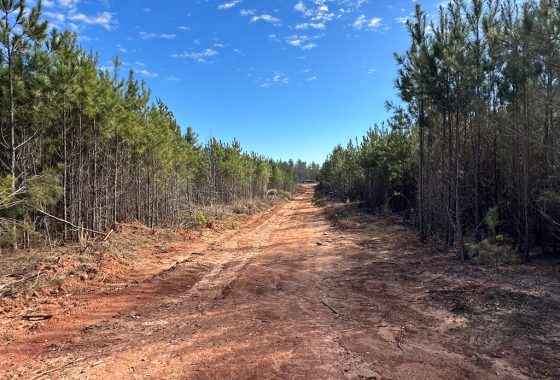 photo of listed property