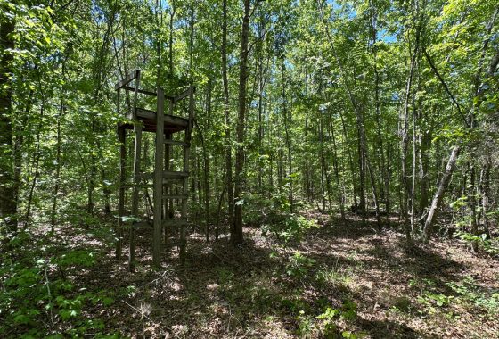 photo of listed property