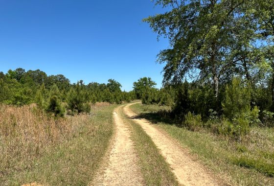 photo of listed property