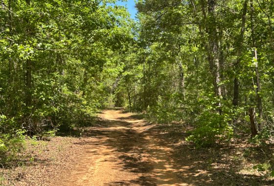 photo of listed property