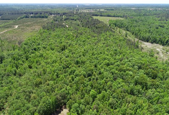 photo of listed property