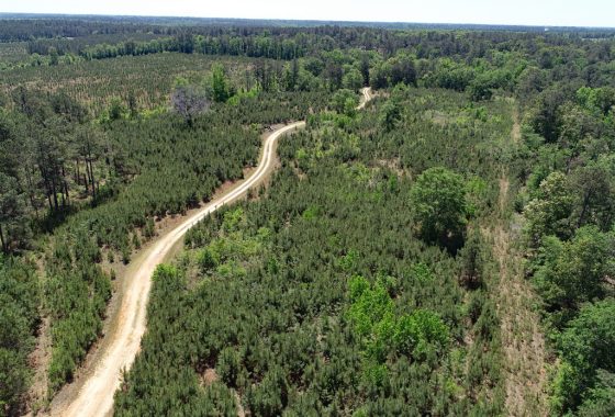 photo of listed property