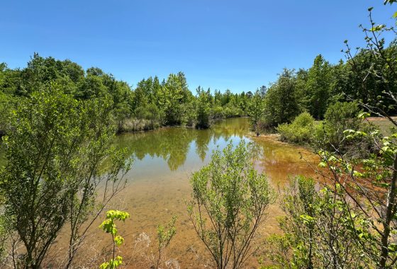 photo of listed property