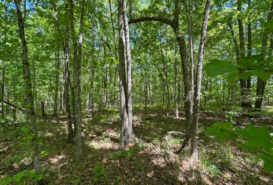 photo of listed property