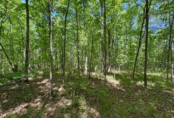 photo of listed property