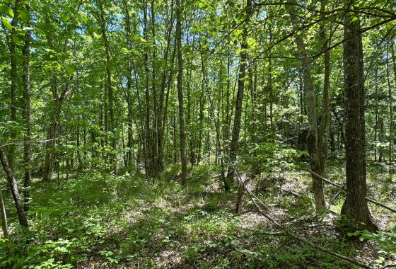 photo of listed property