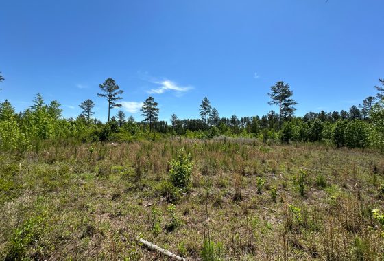 photo of listed property