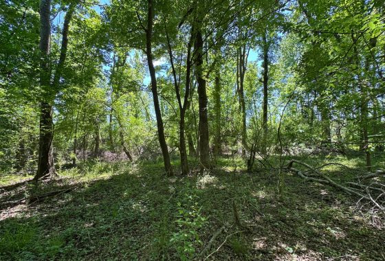 photo of listed property