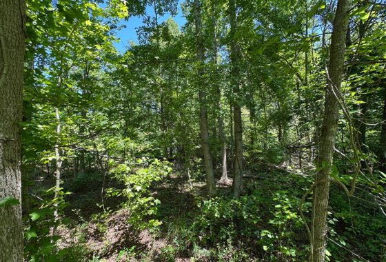 photo of listed property