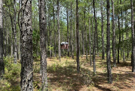 photo of listed property